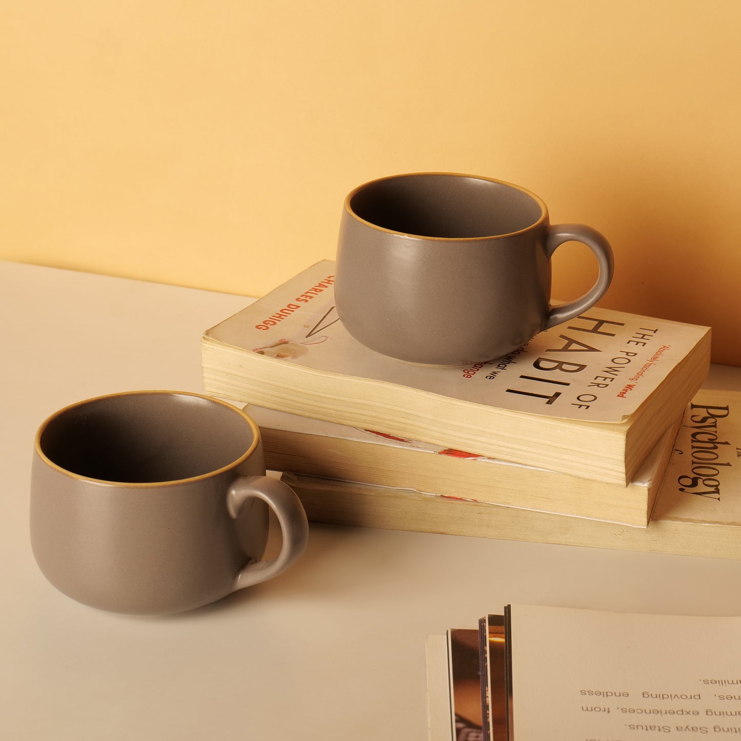 Shizumi Mugs – Set of 2